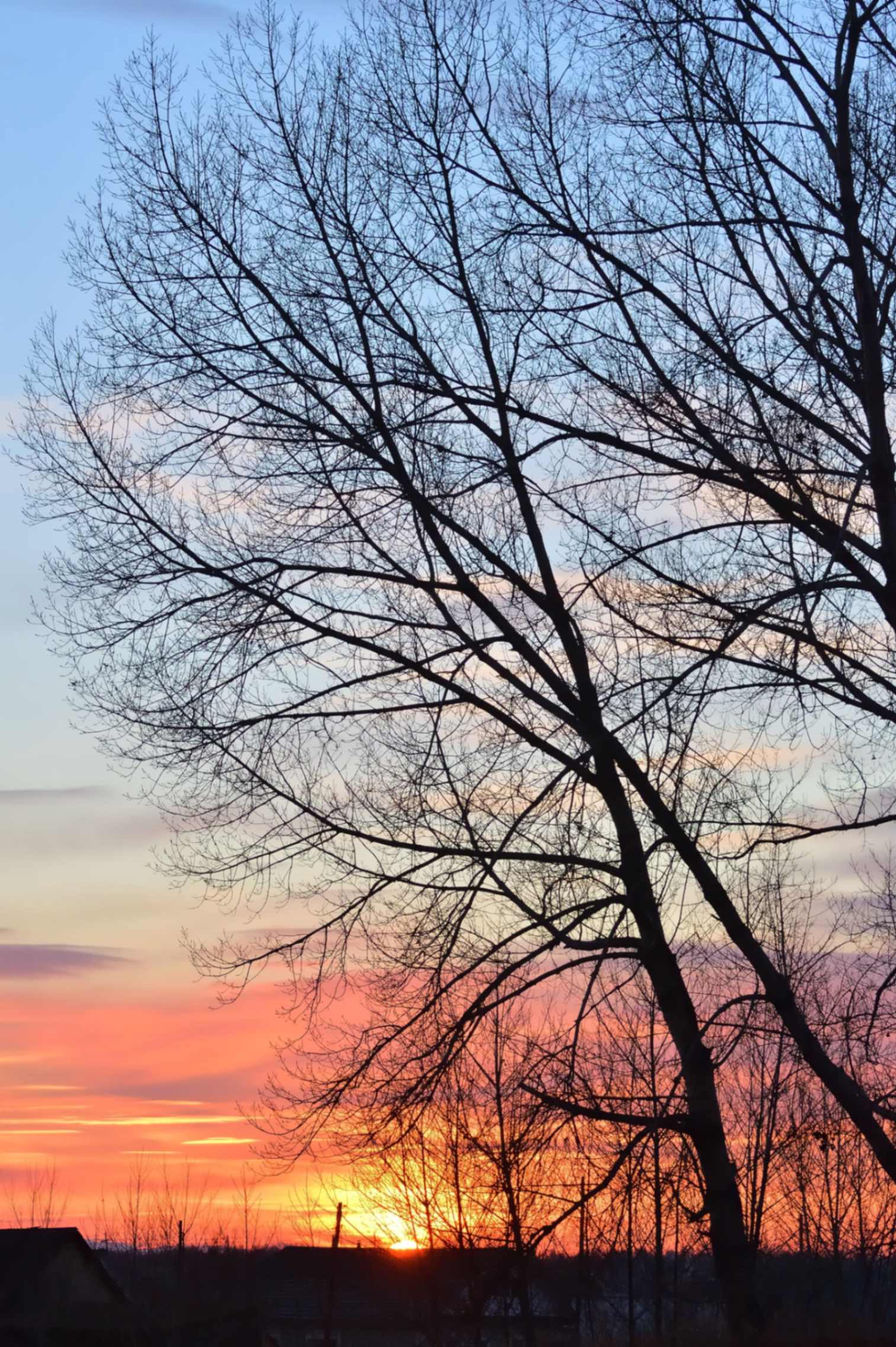 Why Is the Sky Blue? — article hero image
